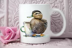 Watercolor Cute Mallard with a Cup PNG Clipart Product Image 2