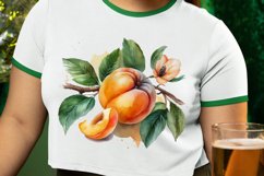 Watercolor Apricot PNG Clipart Product Image 2