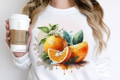 Watercolor Oranges PNG Clipart Product Image 2