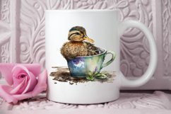 Watercolor Cute Mallard with a Cup PNG Clipart Product Image 2