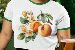 Watercolor Apricot PNG Clipart Product Image 2