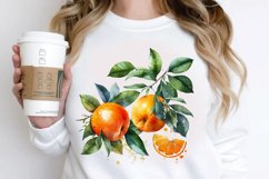 Watercolor Oranges PNG Clipart Product Image 2