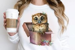 Watercolor Cute Owl Girl in Gift Box PNG Clipart Product Image 2
