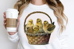 Watercolor Chicks in a Basket PNG Clipart Product Image 2