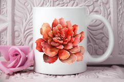 Watercolor Boho Succulents PNG Clipart Product Image 2