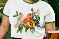 Watercolor Apricot PNG Clipart Product Image 2