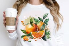Watercolor Oranges PNG Clipart Product Image 2