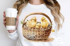 Watercolor Chicks in a Basket PNG Clipart Product Image 2