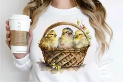Watercolor Chicks in a Basket PNG Clipart Product Image 2