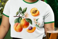 Watercolor Apricot PNG Clipart Product Image 2