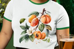 Watercolor Apricot PNG Clipart Product Image 2