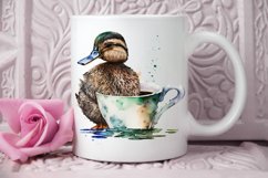 Watercolor Cute Mallard with a Cup PNG Clipart Product Image 2