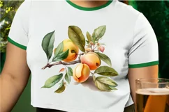 Watercolor Apricot PNG Clipart Product Image 2