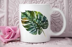 Watercolor Tropical Leave PNG Clipart Product Image 2