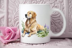 Watercolor Golden Dog PNG Clipart Product Image 2