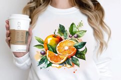 Watercolor Oranges PNG Clipart Product Image 2