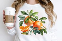 Watercolor Oranges PNG Clipart Product Image 2