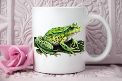 Watercolor Green Frog PNG Clipart Product Image 2