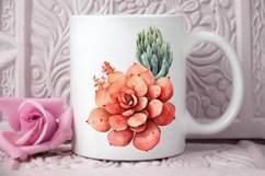 Watercolor Boho Succulents PNG Clipart Product Image 2