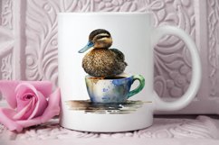 Watercolor Cute Mallard with a Cup PNG Clipart Product Image 2