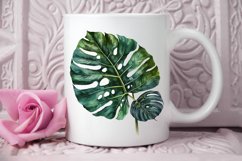 Watercolor Tropical Leave PNG Clipart Product Image 2