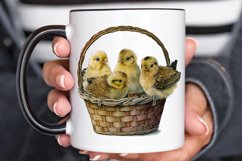 Watercolor Chicks in a Basket PNG Clipart Product Image 3