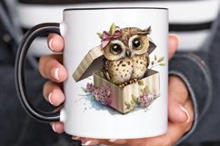 Watercolor Cute Owl Girl in Gift Box PNG Clipart Product Image 3