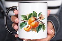 Watercolor Apricot PNG Clipart Product Image 3