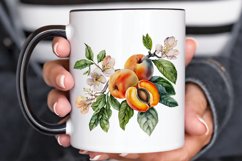 Watercolor Apricot PNG Clipart Product Image 3