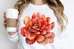 Watercolor Boho Succulents PNG Clipart Product Image 3
