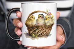 Watercolor Chicks in a Basket PNG Clipart Product Image 3