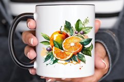 Watercolor Oranges PNG Clipart Product Image 3