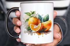 Watercolor Oranges PNG Clipart Product Image 3