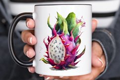 Watercolor Dragon Fruit PNG Clipart Product Image 3