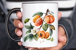 Watercolor Apricot PNG Clipart Product Image 3