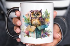 Watercolor Cute Owl Girl in Gift Box PNG Clipart Product Image 3