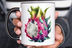 Watercolor Dragon Fruit PNG Clipart Product Image 3