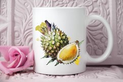 Watercolor Durian PNG Clipart Product Image 3
