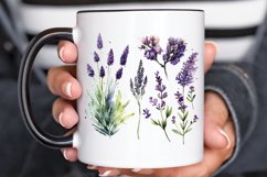 Watercolor Lavender Garden PNG Clipart Product Image 3