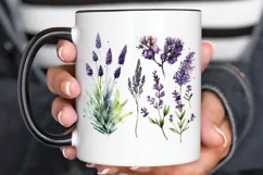 Watercolor Lavender Garden PNG Clipart Product Image 3