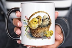 Watercolor Chicks in a Basket PNG Clipart Product Image 3