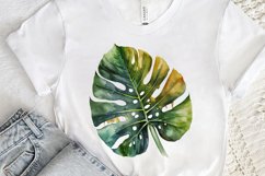 Watercolor Tropical Leave PNG Clipart Product Image 3