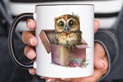Watercolor Cute Owl Girl in Gift Box PNG Clipart Product Image 3