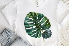 Watercolor Tropical Leave PNG Clipart Product Image 3