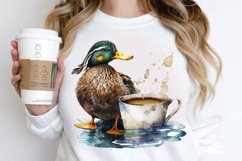 Watercolor Cute Mallard with a Cup PNG Clipart Product Image 3