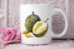 Watercolor Durian PNG Clipart Product Image 3