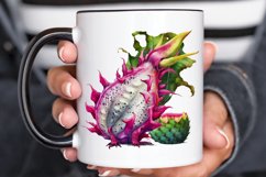 Watercolor Dragon Fruit PNG Clipart Product Image 3