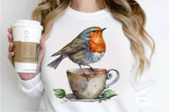 Watercolor Cute European Robin with a Cup PNG Clipart Product Image 3