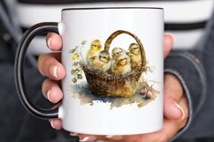 Watercolor Chicks in a Basket PNG Clipart Product Image 3