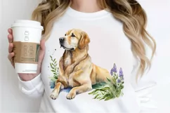 Watercolor Golden Dog PNG Clipart Product Image 3